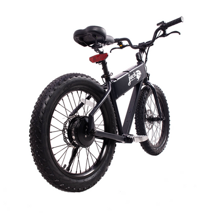 JackRabbit CST Fringe Mid-Fat Tire & Tube