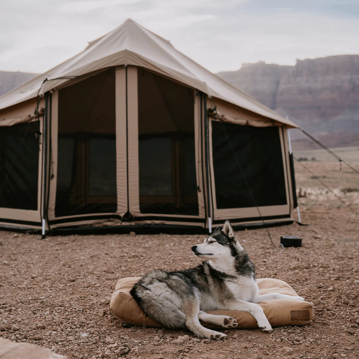 Altimus Bell Tent